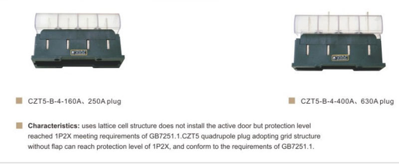 Primary Socket